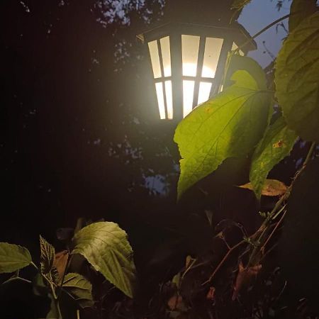 Aam'S Courtyard Hotel Kalimpong Exterior foto