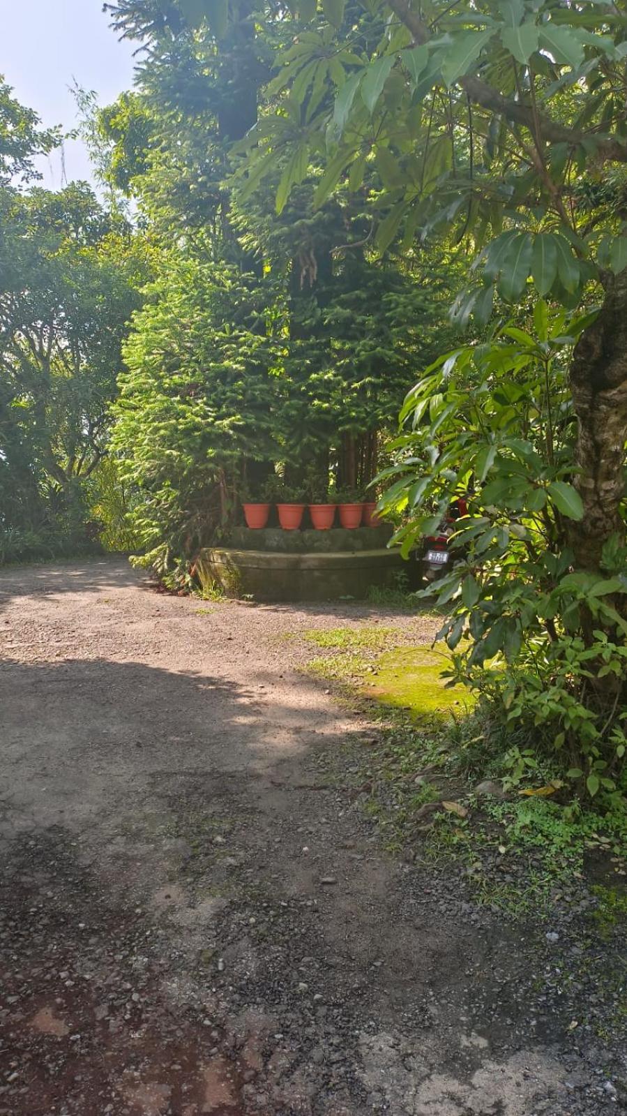 Aam'S Courtyard Hotel Kalimpong Exterior foto