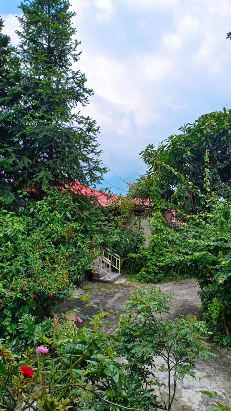 Aam'S Courtyard Hotel Kalimpong Exterior foto